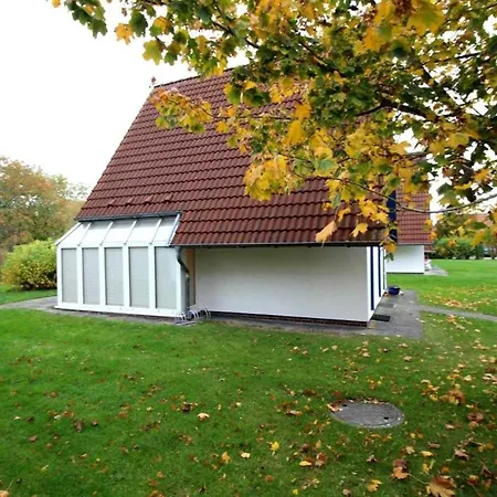 Strandlaeufer Tp6